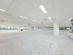 Techpoint (D20), Factory #462656621